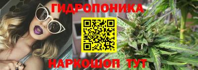 твердый Краснознаменск